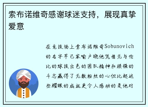 索布诺维奇感谢球迷支持，展现真挚爱意