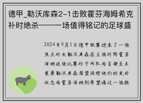 德甲_勒沃库森2-1击败霍芬海姆希克补时绝杀——一场值得铭记的足球盛宴
